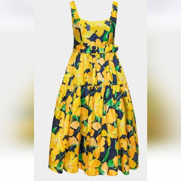 NEW Anthropologie Hutch Alice Fit & Flare Midi Dress Size 4P - Picture 5 of 16